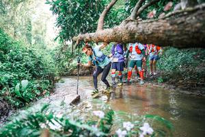 BIB: 
                            <button type="button" onclick="openModal(25515229)" class="btn btn-primary btn-sm float-right btn-popup" data-toggle="modal" data-target=".modal-high-quality">
                        <i class="fas fa-shopping-cart"></i> Add to Cart
                    </button>
                                            <button type="button" onclick="isThisMe(25515229, true)" class="btn btn-success btn-sm float-right btn-popup btn-isme hidden" data-toggle="tooltip" data-placement="bottom" title="นี่คือรูปของคุณใช่ไหม คลิกที่นี่เพื่อเอาเข้าอัลบั้ม">
                        <i class="fas fa-plus"></i> Add to album
                    </button>
                    <button type="button" onclick="isThisMe(25515229, false)" class="btn btn-warning btn-sm float-right btn-popup btn-isnotme hidden">
                        <i class="fas fa-ban"></i> Remove from album
                    </button>